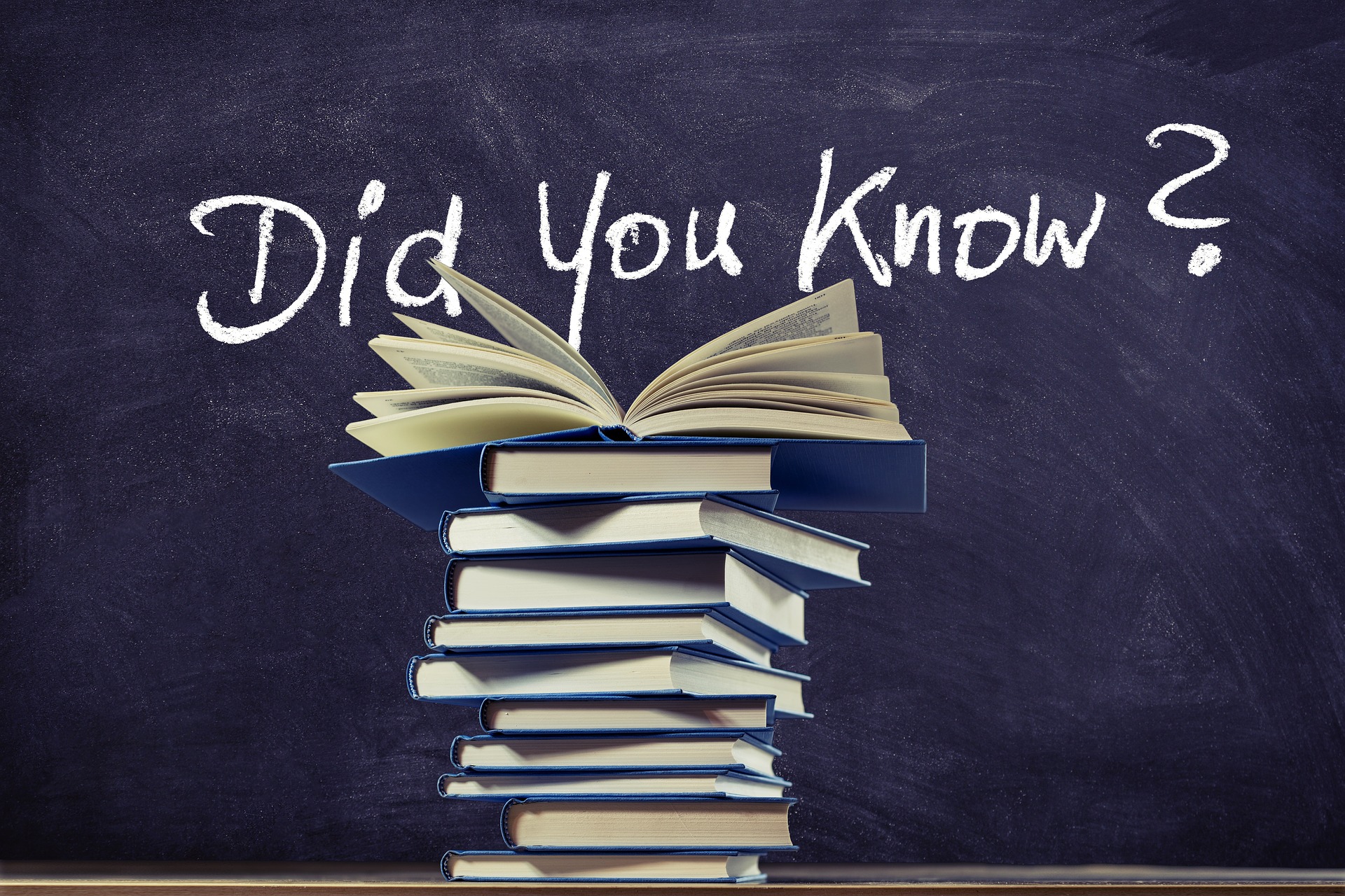 aturan tanda baca garis miring