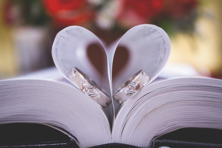 pecinta buku
